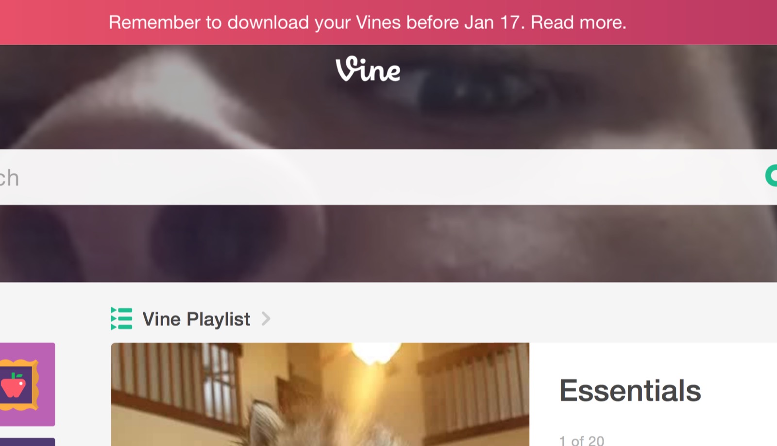 Less than two weeks to rescue your Vines